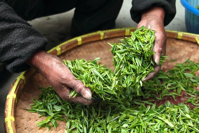 Harvesting Tips