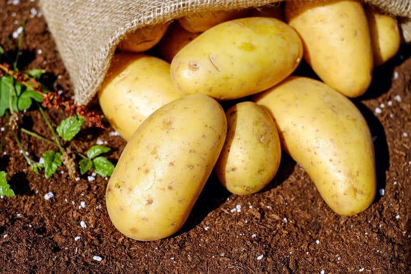Tilled Soil